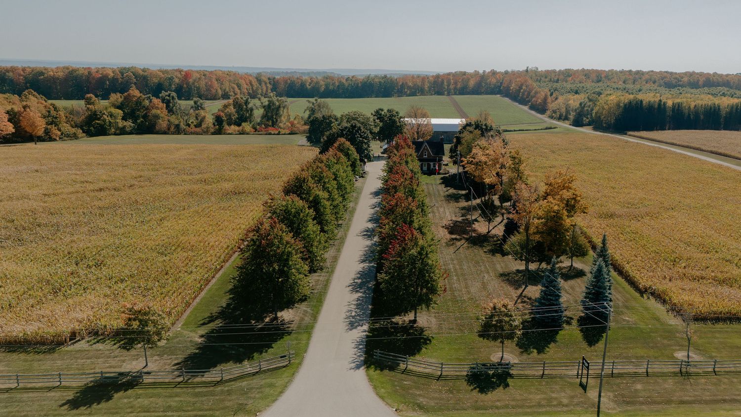 Panoramic aerial view of a rural landscape with winding road, autumn trees, and farm fields.