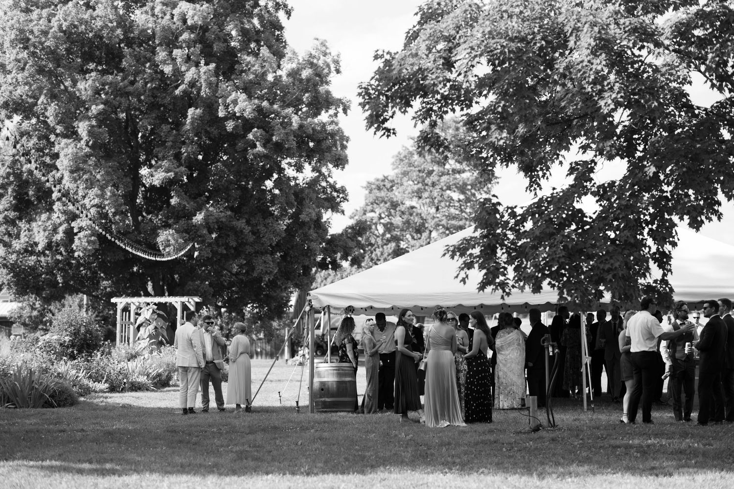 A series of vintage black and white photographs showing people gathered under trees in an outdoor setting.