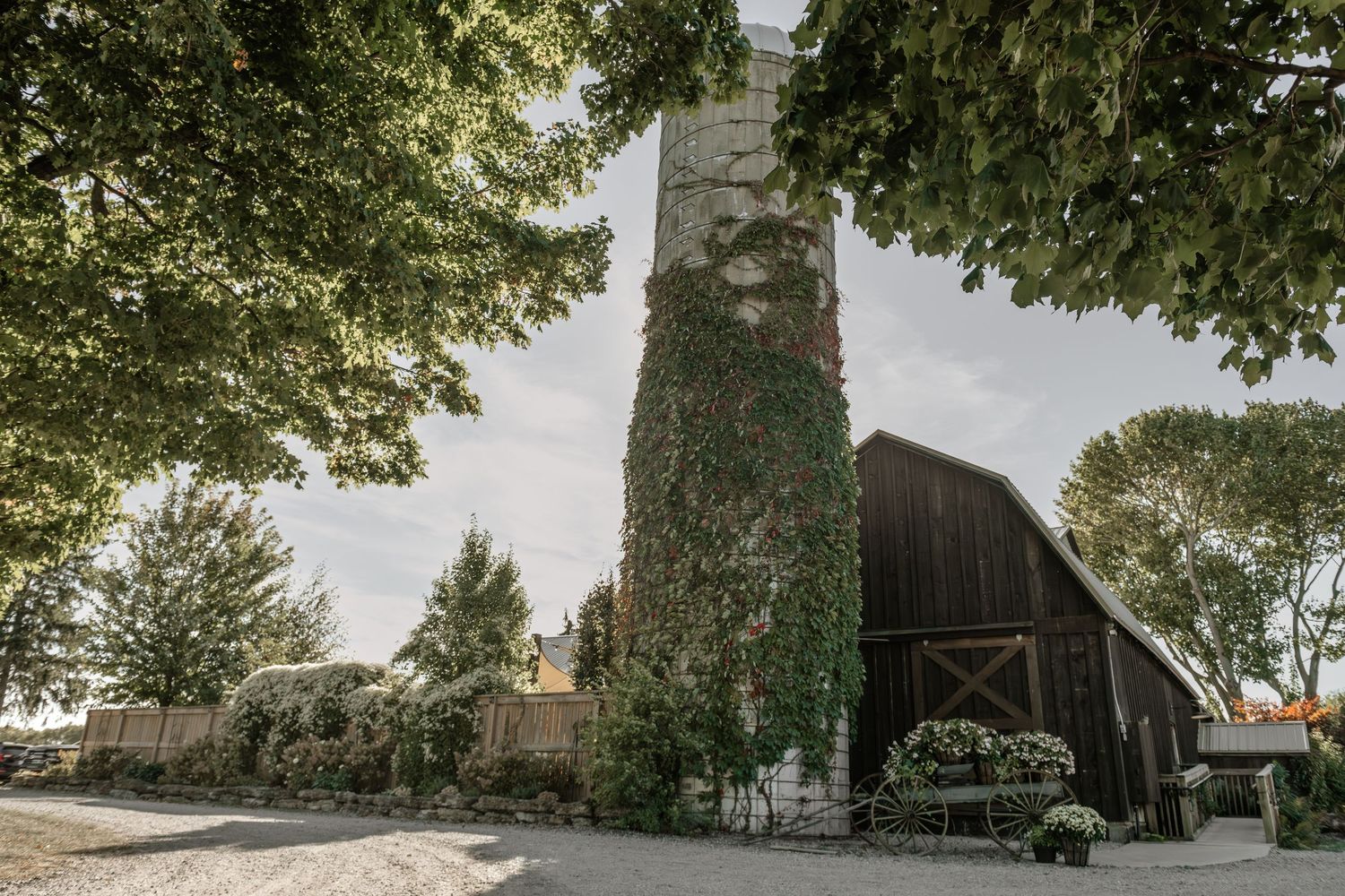 A scenic tree-lined pathway with stone walls leads to a rustic barn structure in the distance.