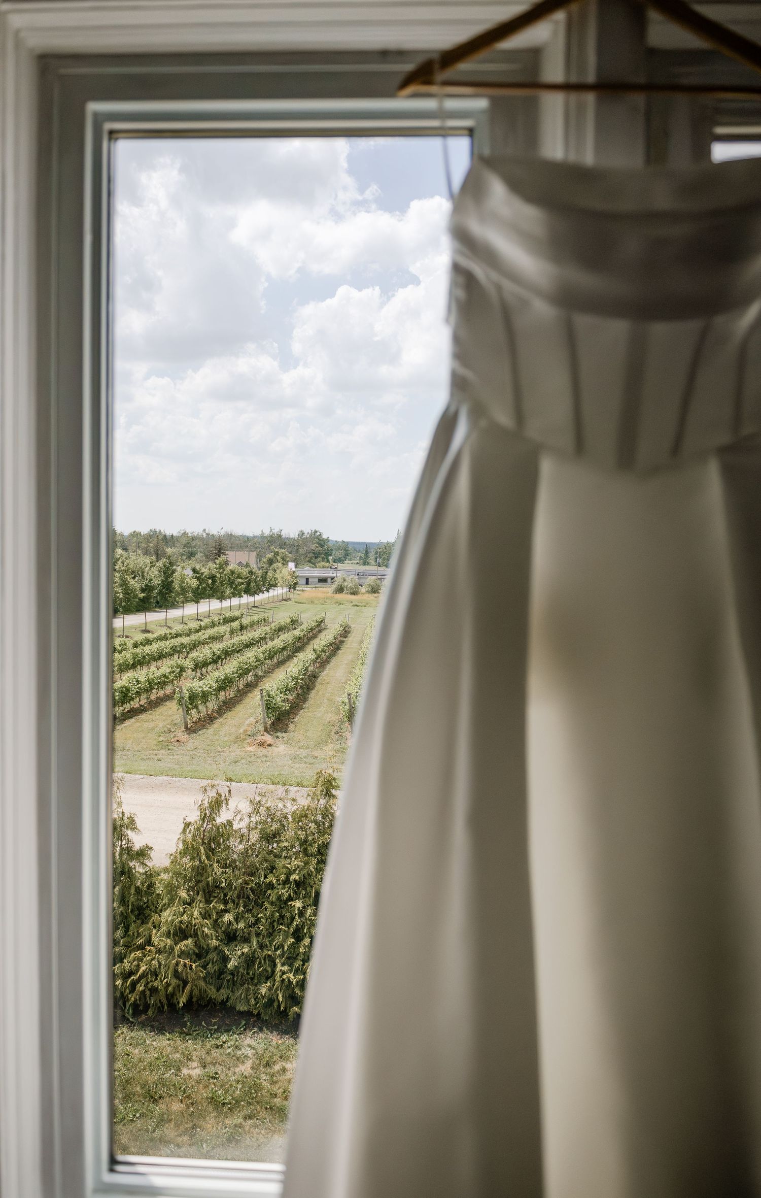 White wedding dresses hang in window with vineyard view.