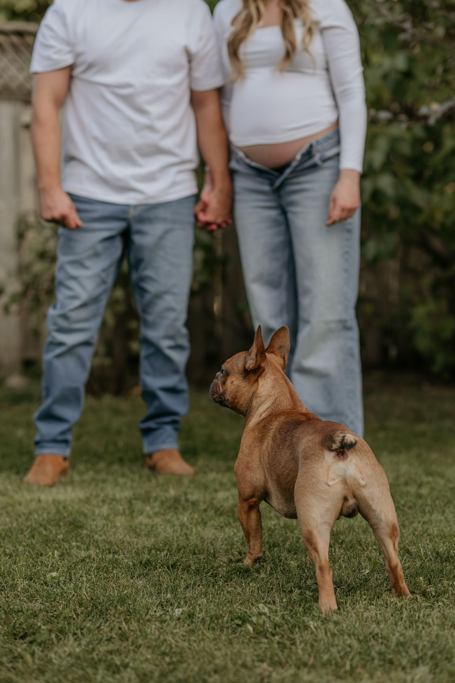 Brown dog plays in grass while couple stands in background wearing matching casual outfits.