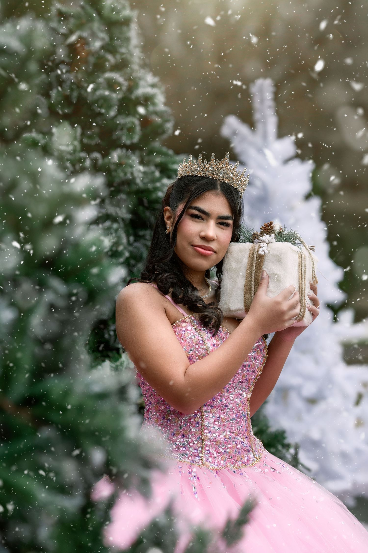 Quinceanera / sweet 16 photography