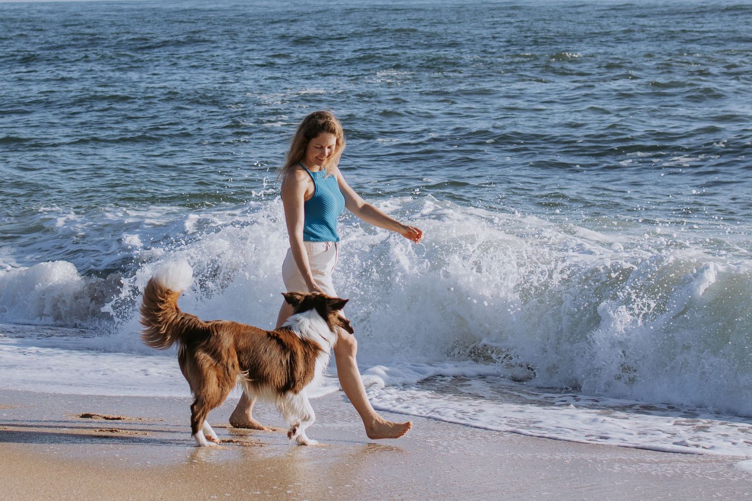Woman and her brown and white dog walking aling the beach at sunrise as waves crash along the shoreline behind them