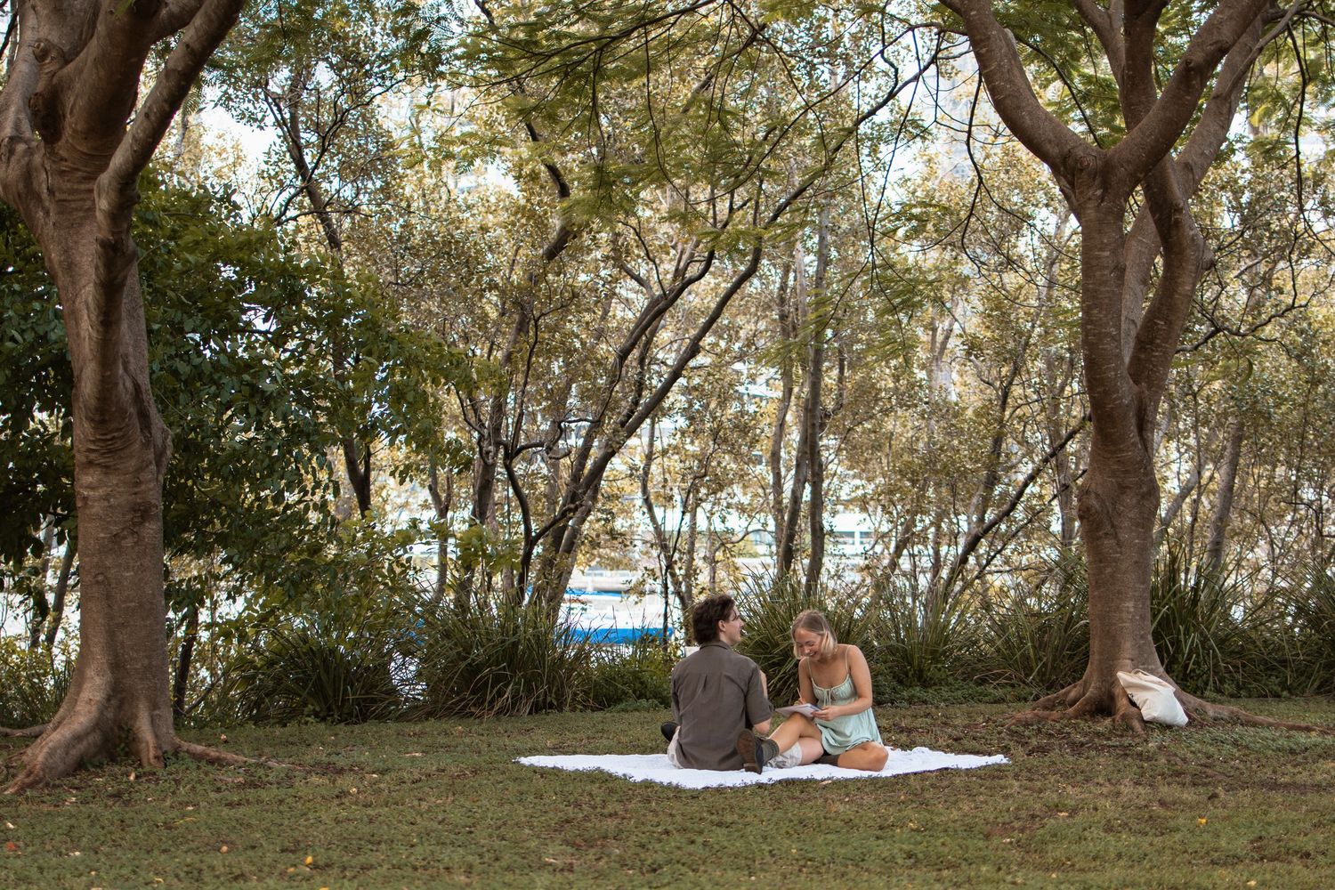 couple framed by two trees as they have a picnic