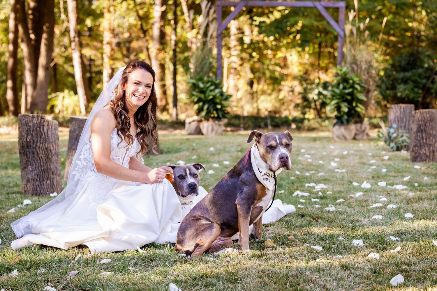 A bride in a flowing white gown sits on grass with her pit bull type dog in an outdoor setting.