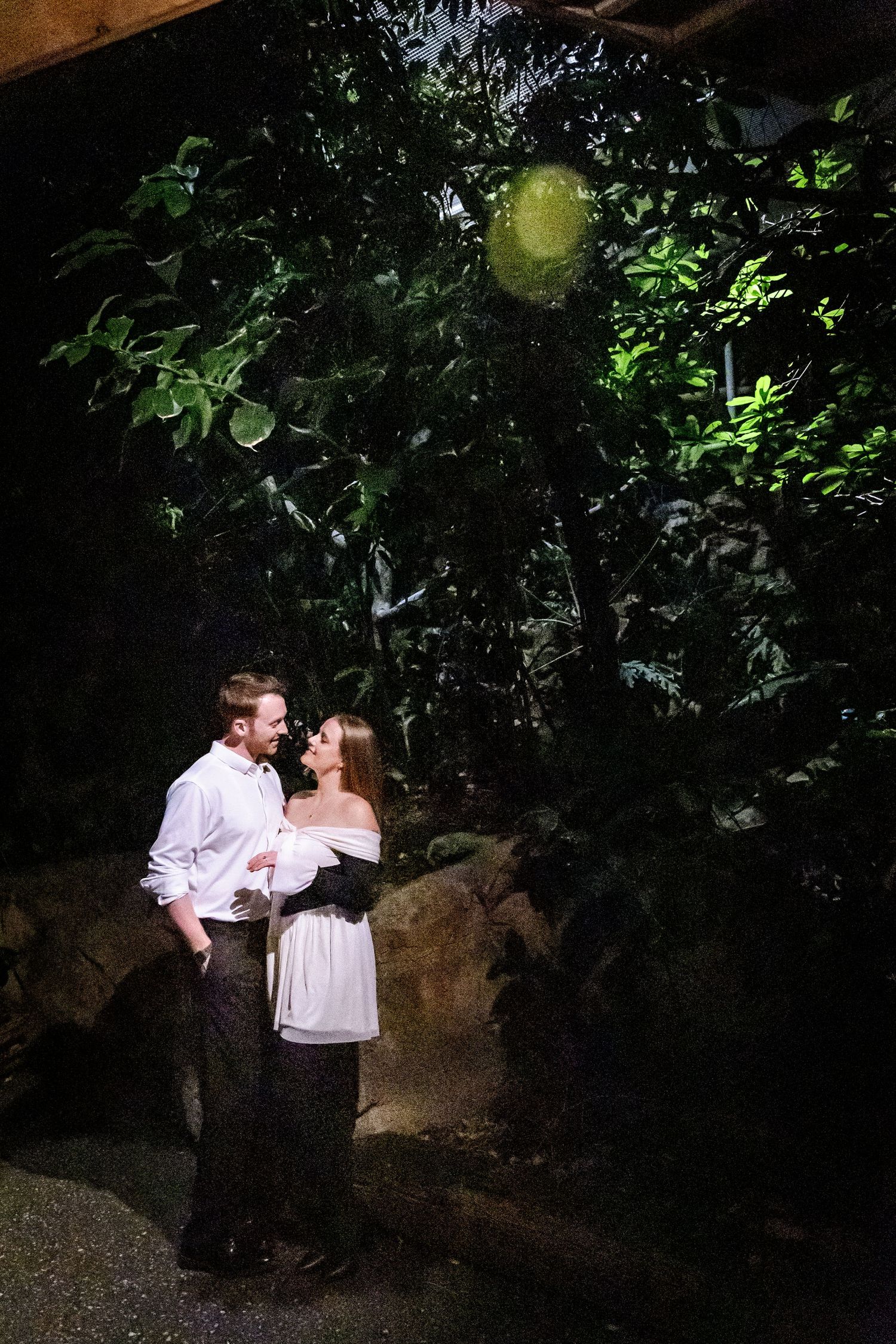 A couple embraces in an enchanted garden setting with dramatic lighting and lush greenery at night.