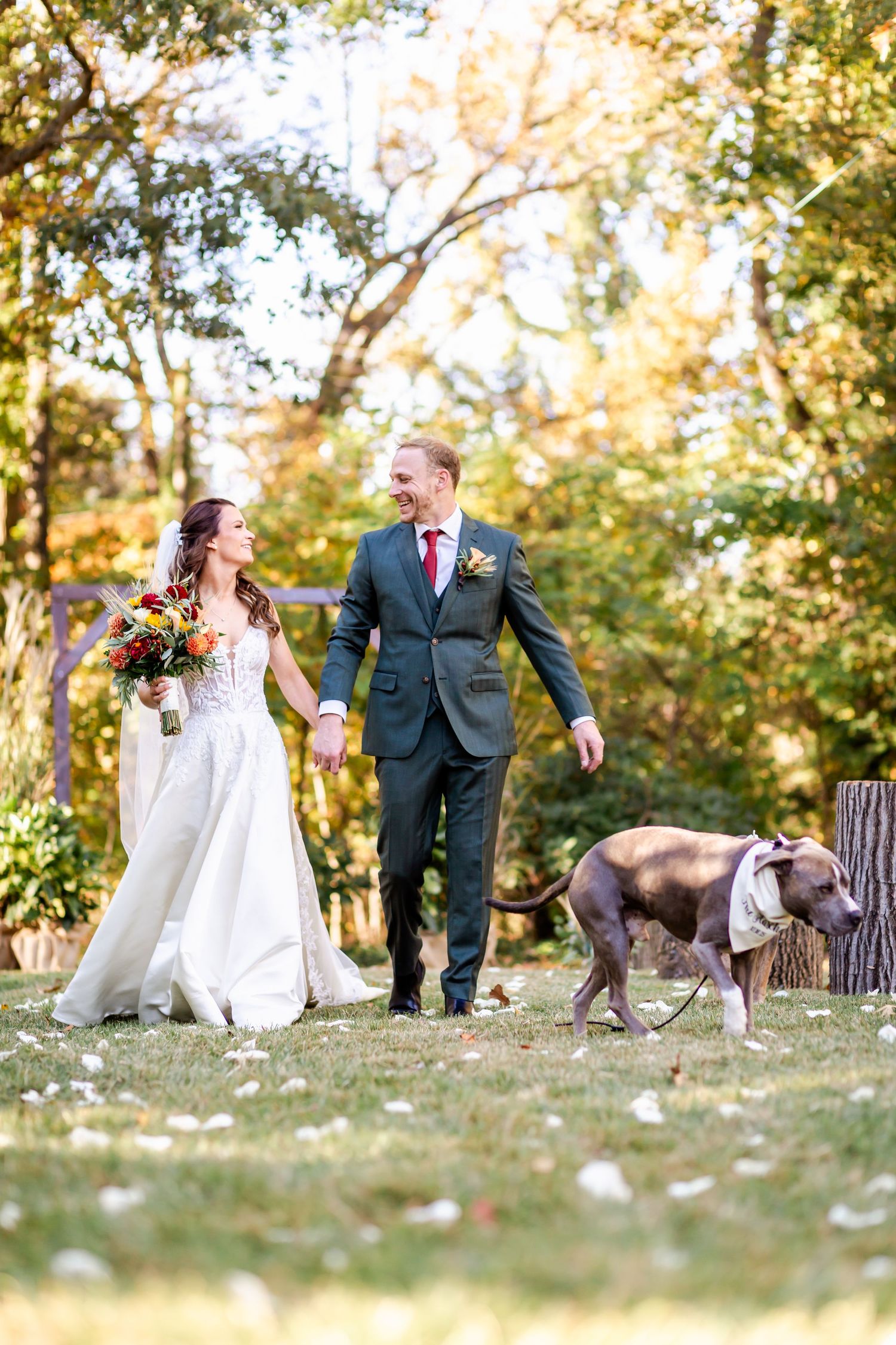 A couple in wedding attire walks hand in hand through a sunlit autumn forest with their dog on a leash.
