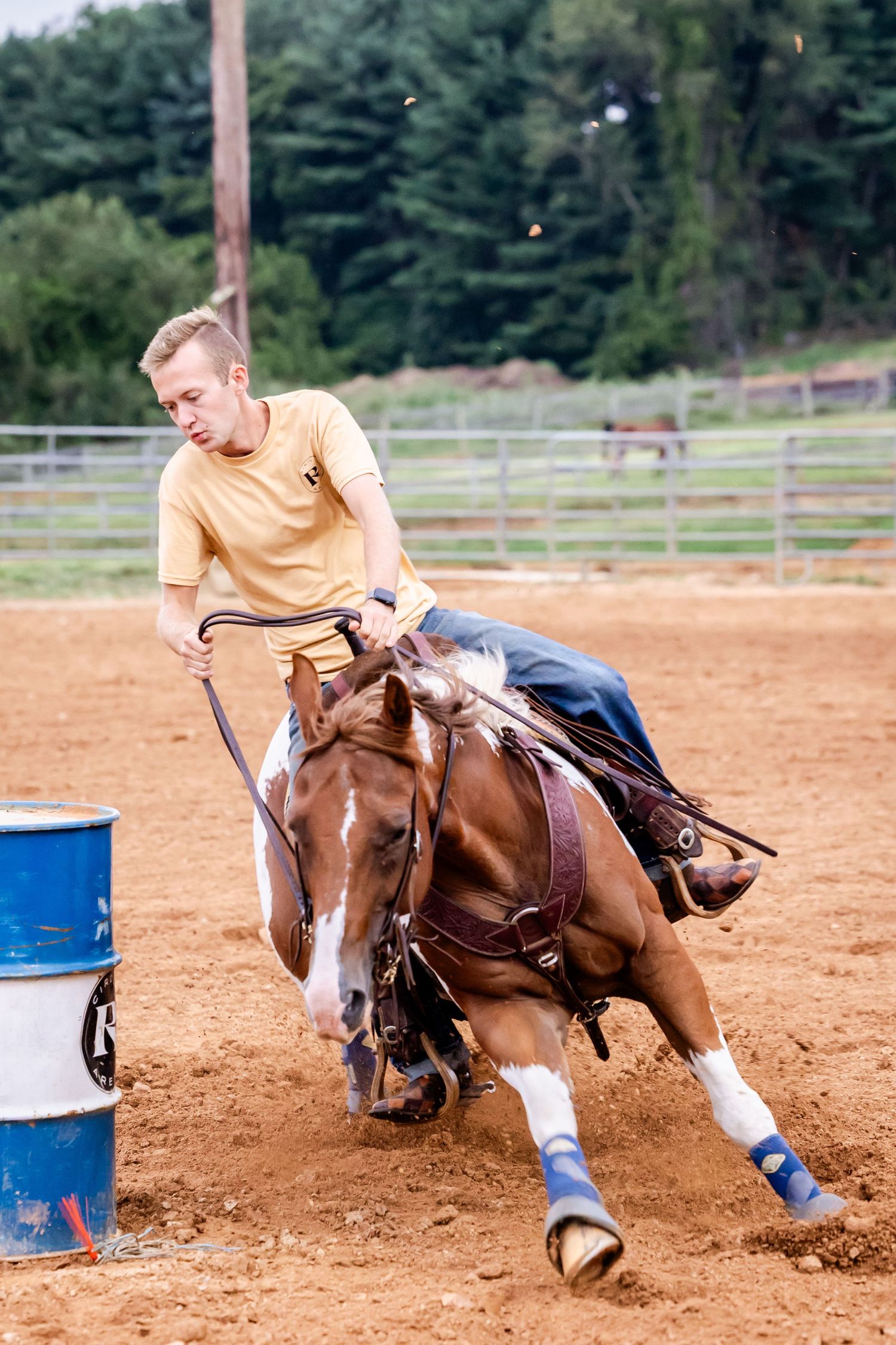Competitive barrel racer leans into turn around blue and white drum in sandy arena.