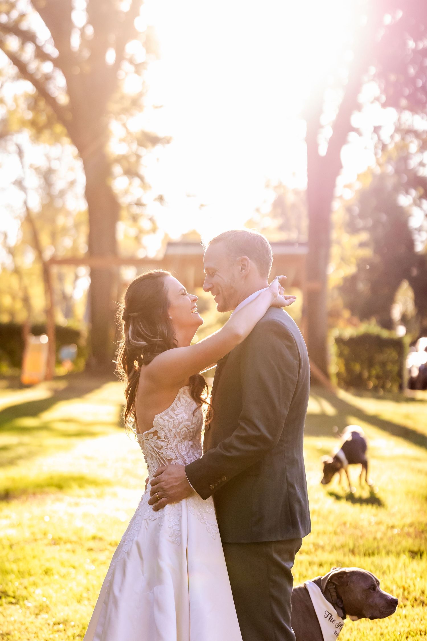 A romantic sunset wedding portrait session in a golden-lit outdoor setting.
