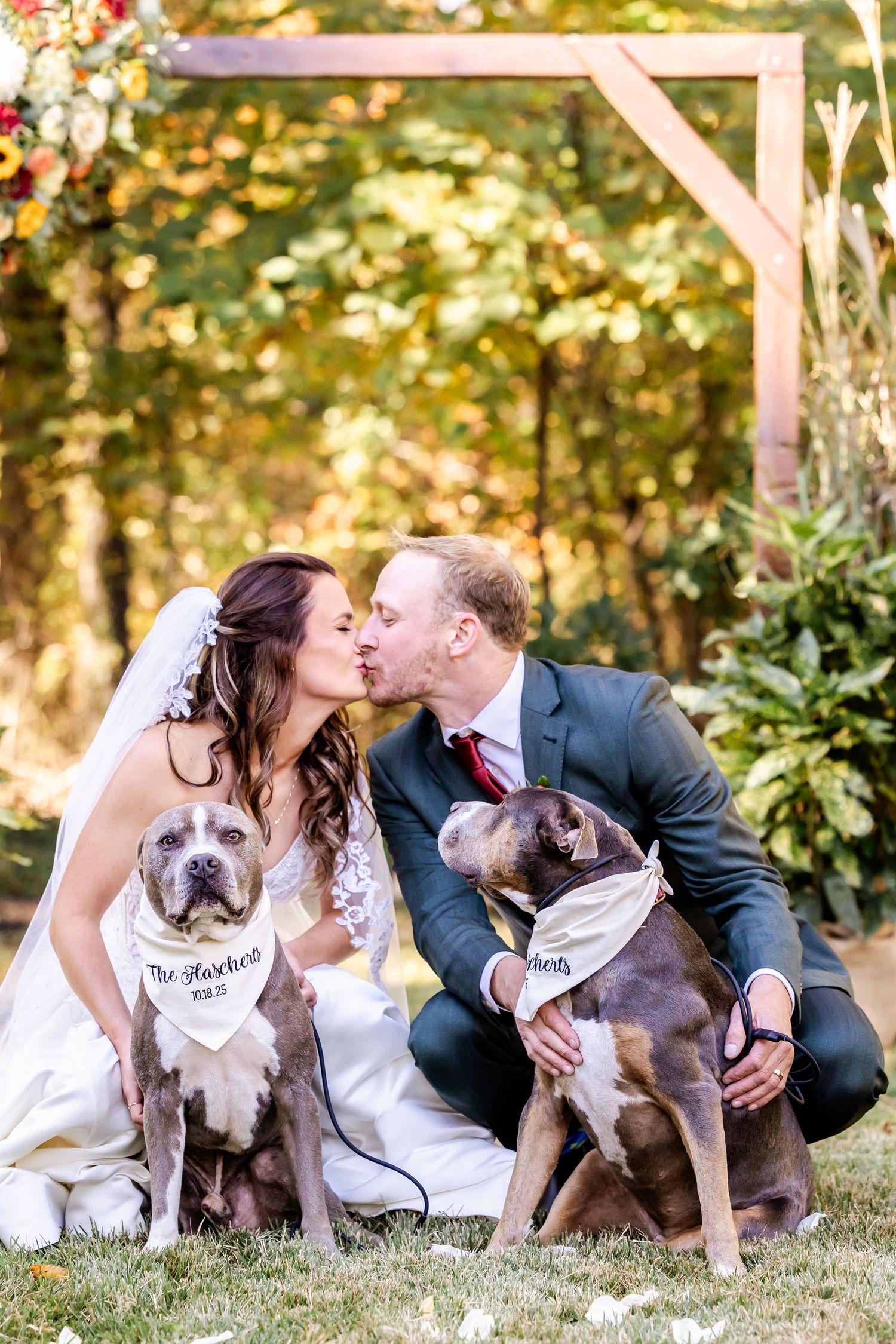 Wedding couple poses with their two dogs wearing special bandanas in an outdoor autumn setting.