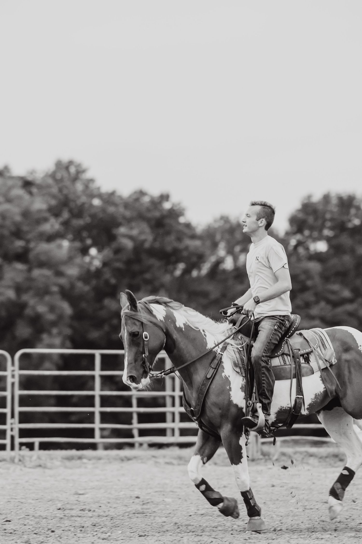 Horse and rider navigate around an arena during an equestrian training session.