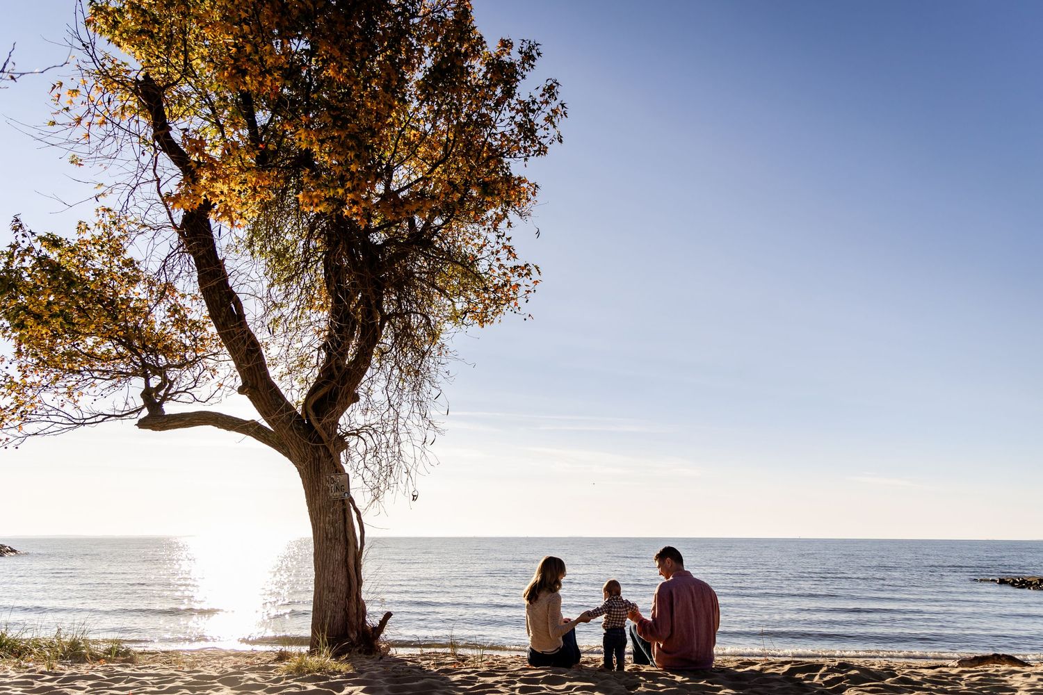 A tree silhouetted against a golden sunset over the ocean creates a peaceful coastal scene.