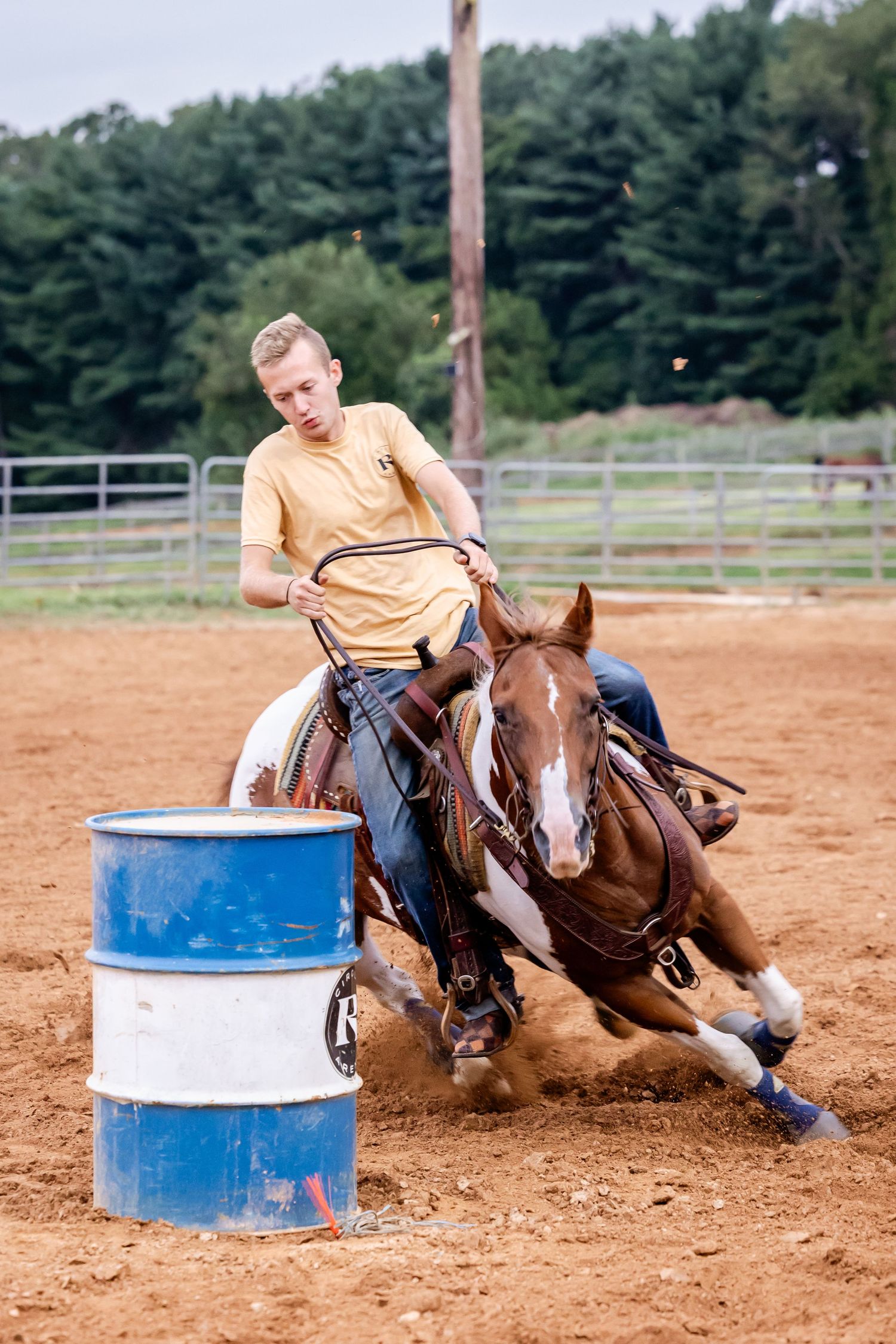 Horse and rider make tight turn around barrel during rodeo competition.