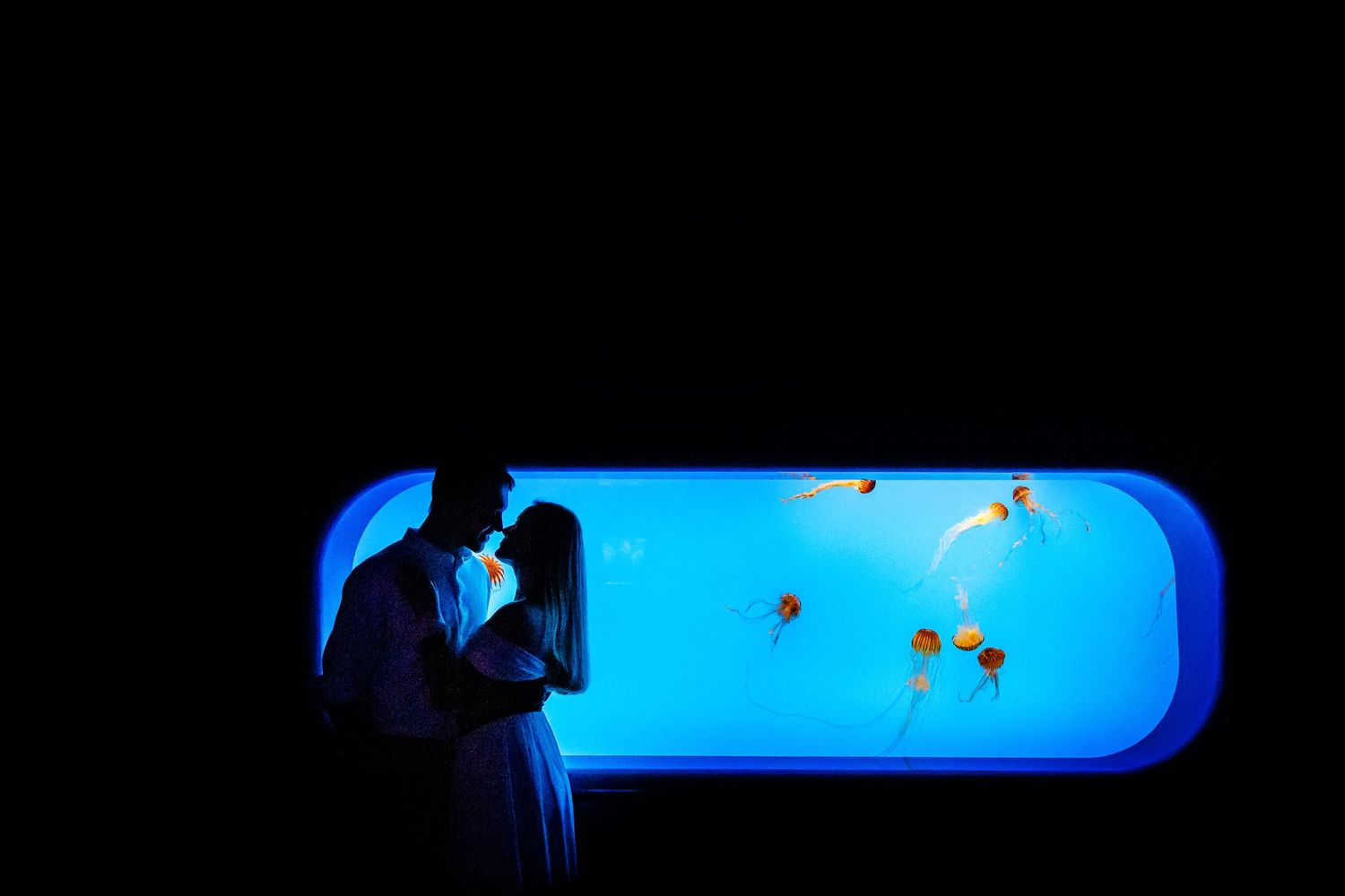 A silhouetted pair stands before a large aquarium window with orange fish swimming in bright blue water.