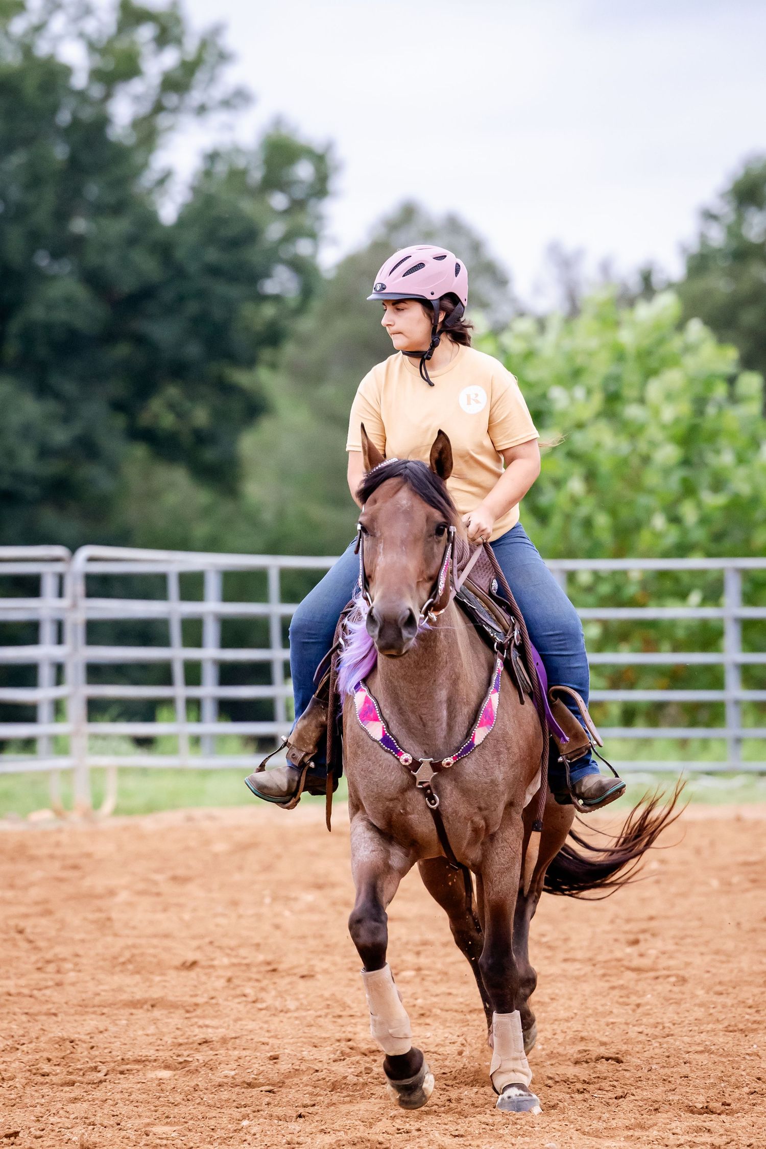 Equestrian riding brown horse in arena wearing protective helmet and tan sweatshirt.