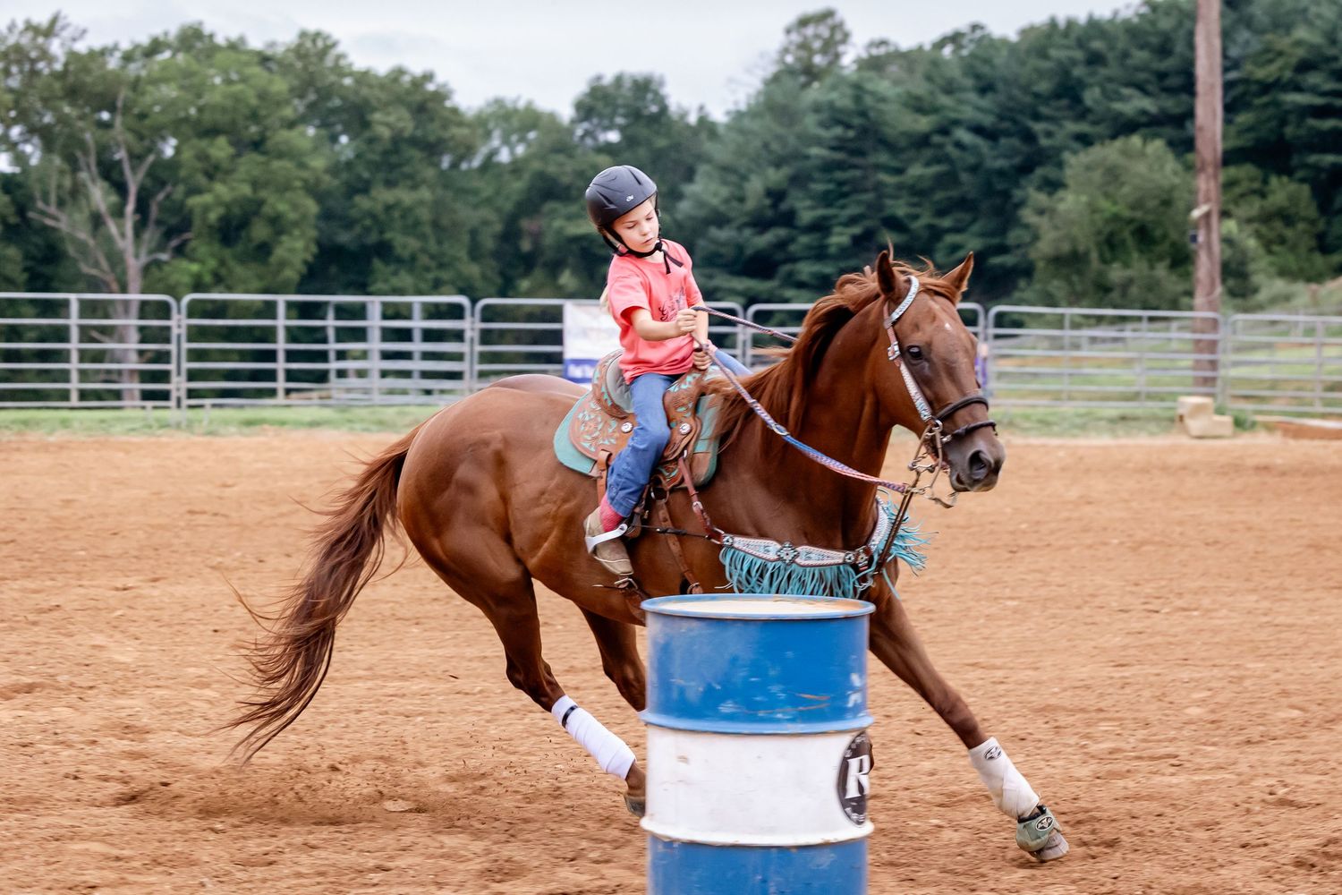 Horse and rider training at a sandy outdoor arena with white fencing and trees in the background.