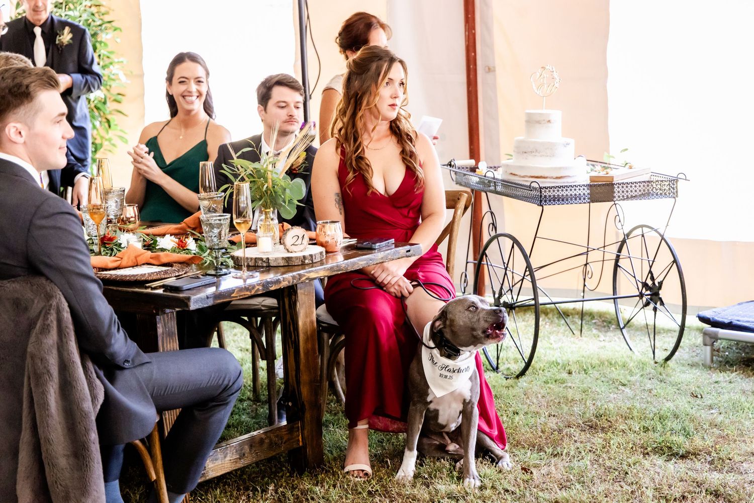 Wedding guests enjoy food and conversation at outdoor reception tables.