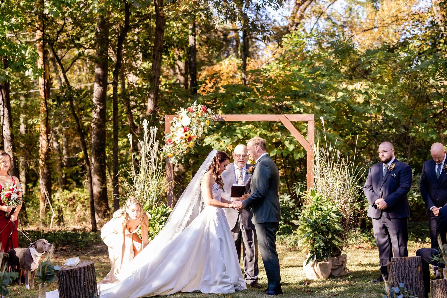 A wedding party gathers in a sunlit wooded area during an autumn outdoor ceremony.