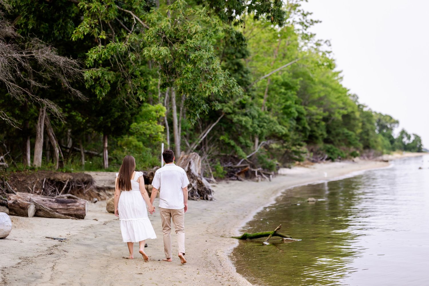 A couple walking hand in hand on a secluded beach surrounded by lush trees and driftwood along the shore.