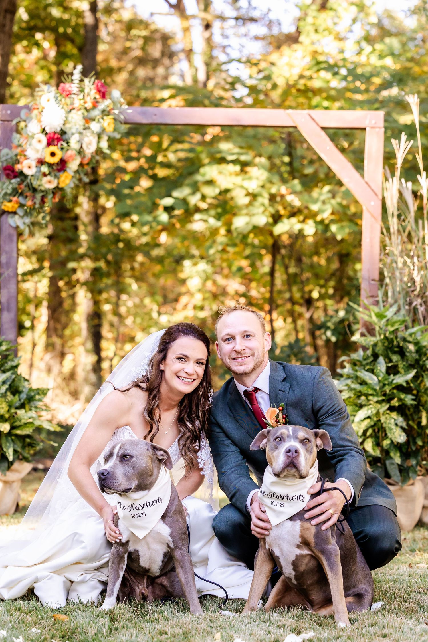 Wedding couple poses with their two gray dogs wearing matching bandanas under a decorated wooden arch.