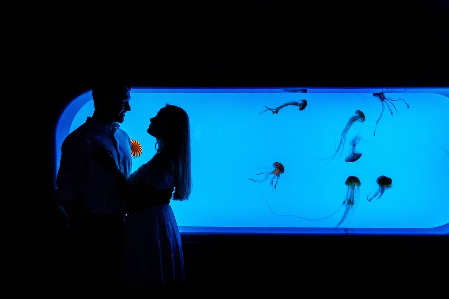 Silhouetted figures embrace in front of glowing blue aquarium tank with floating jellyfish.