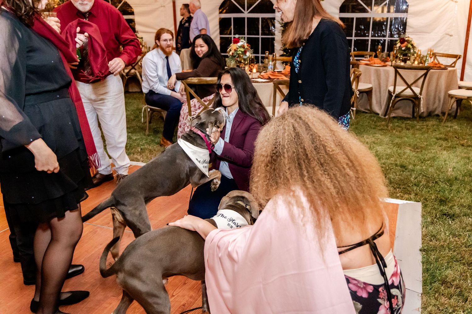 Wedding guests enjoying a lively reception under a white tent with string lights.