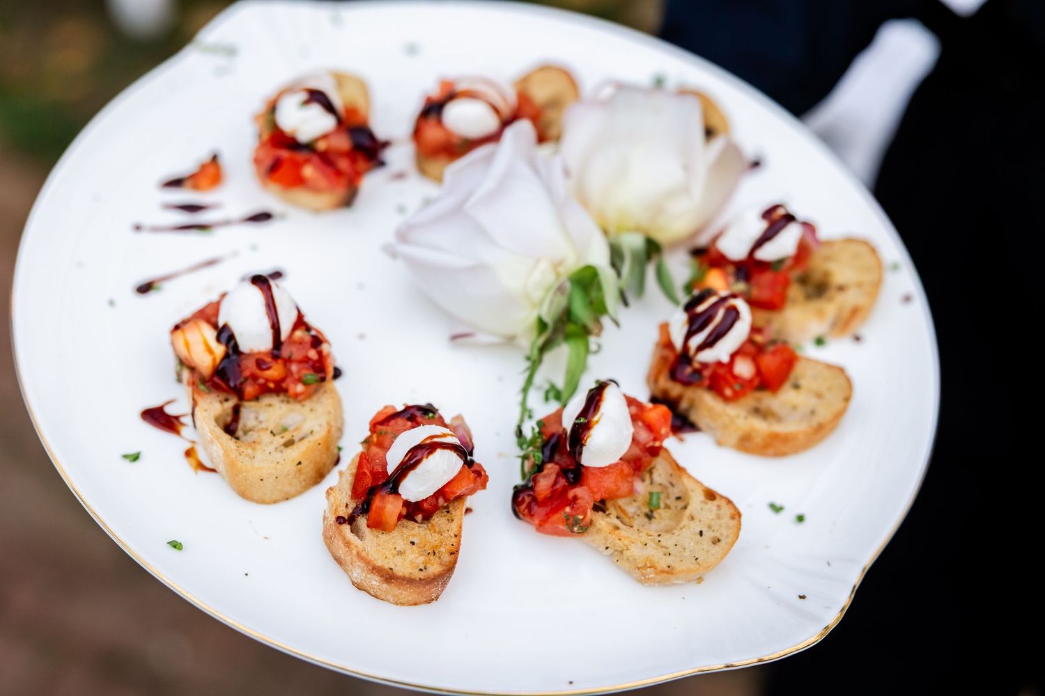 Elegant appetizers with shrimp and garnishes served on white plates at catered event.