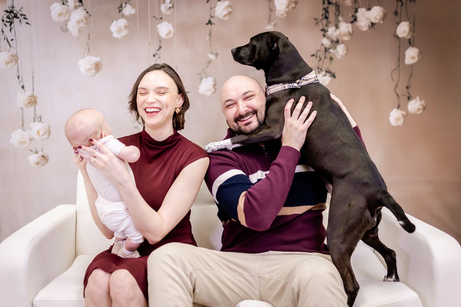 A series of five connected photos showing playful interactions with a black dog against a beige background.