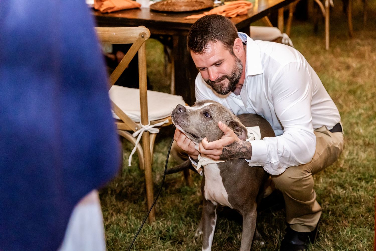 A gray dog interacts with guests on the grass during an outdoor wedding reception.