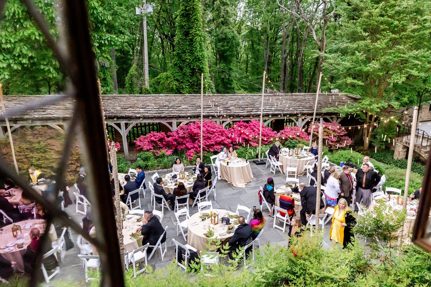 Elevated view of a garden party with round tables and pink azalea bushes in bloom.