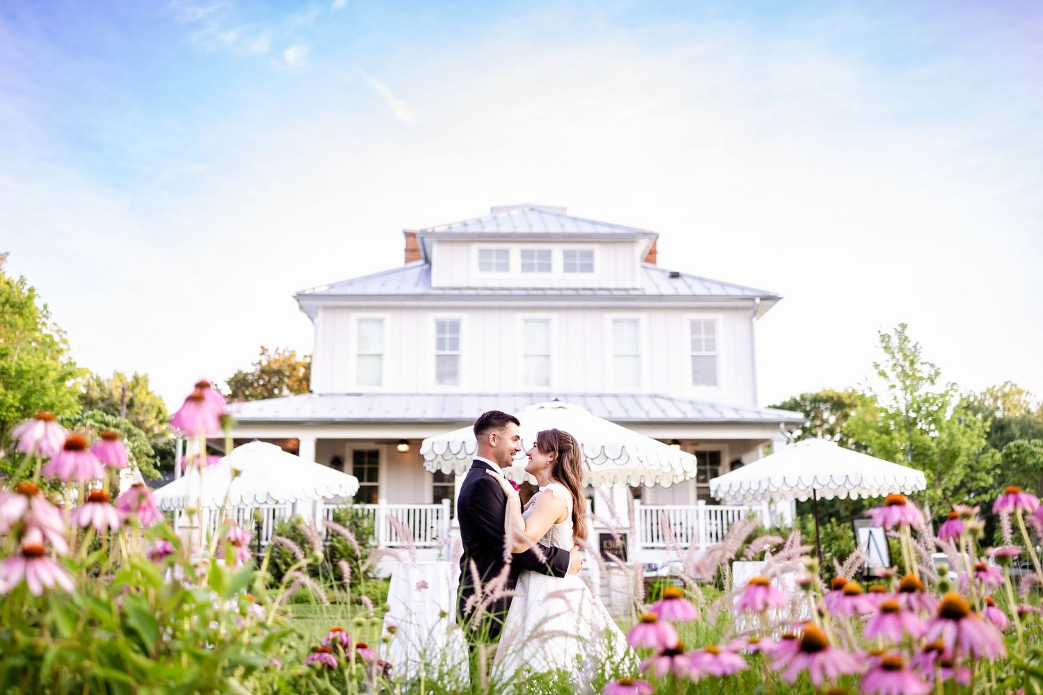 Wedding couple embraces in a garden filled with blooming pink echinacea flowers on a sunny summer day.