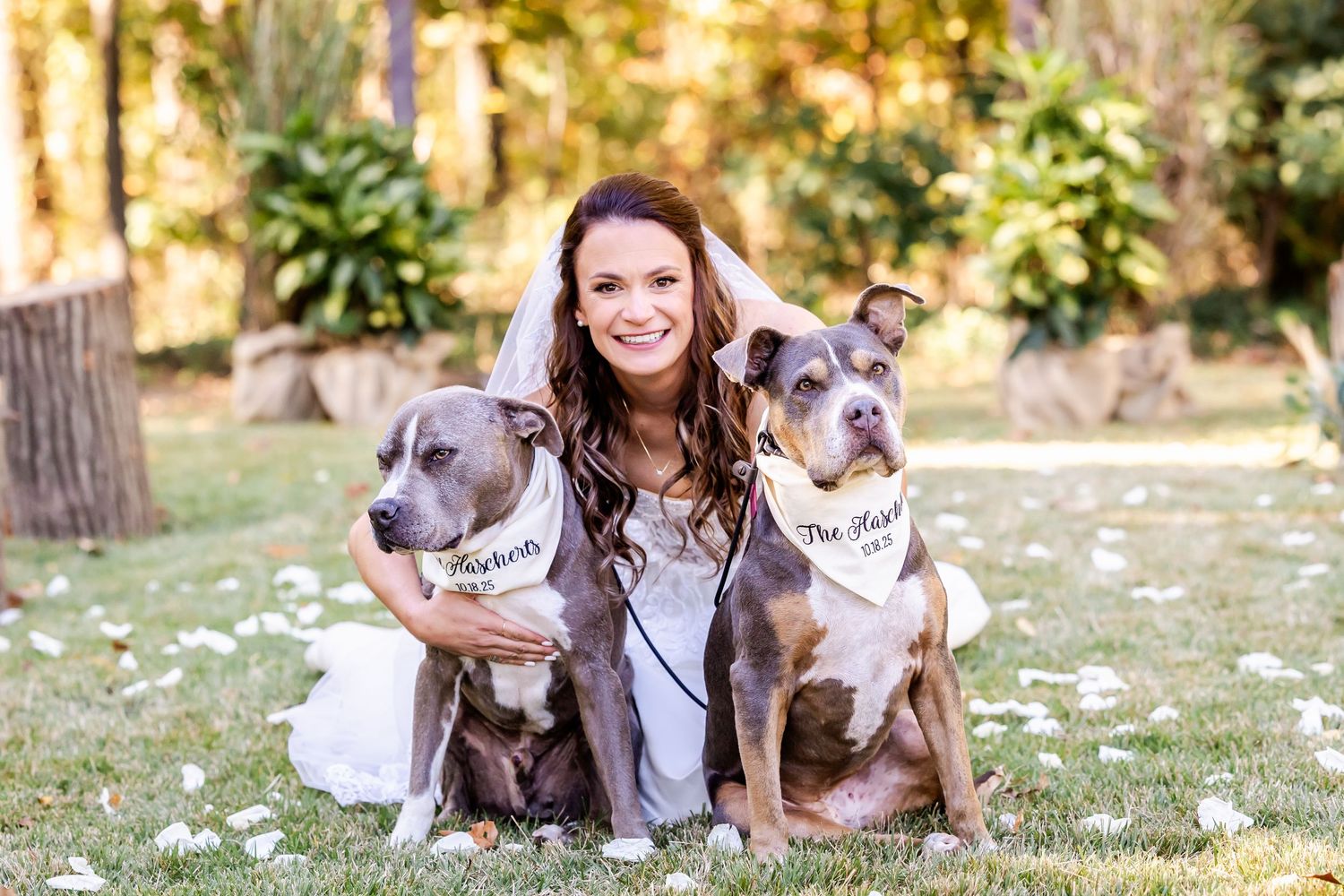 Two pit bulls and their owner pose together on fallen autumn leaves in a park setting.
