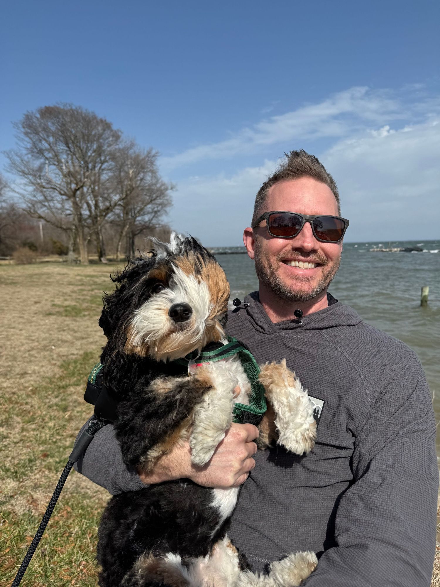 A fluffy black and white dog enjoys outdoor time at a waterfront park.