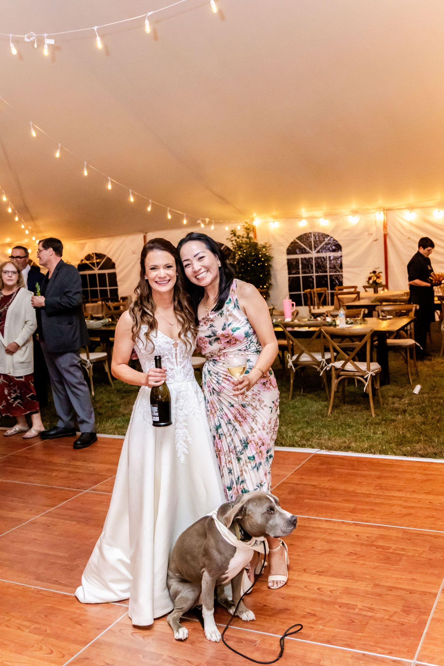 A gray dog joins guests on the dance floor during a tented wedding reception.