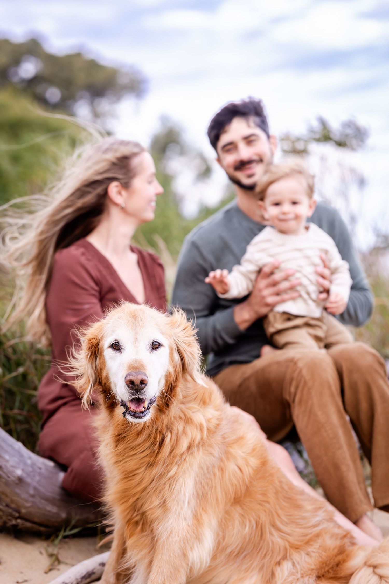 A happy golden retriever dog sits on the beach with a family enjoying a sunny day outdoors together.
