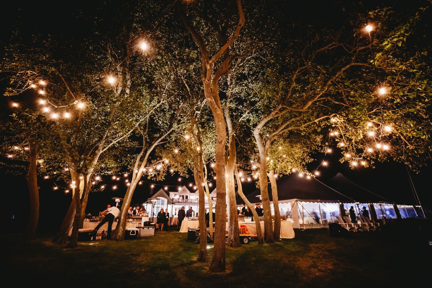 String lights illuminate trees at night creating a romantic outdoor reception atmosphere with glowing pathways.