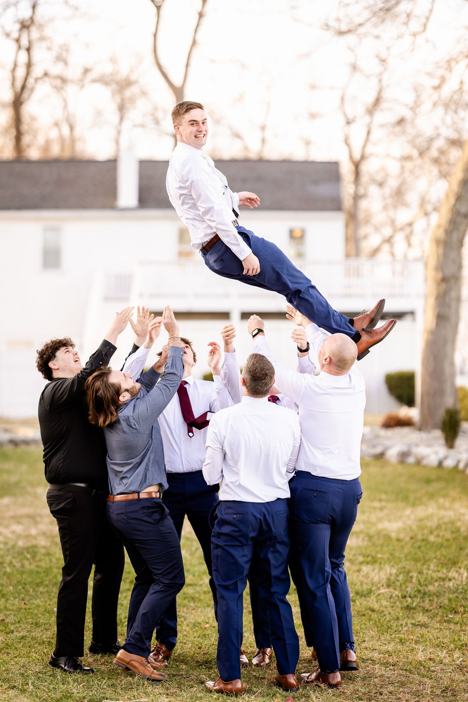 A sequence of four photos showing groomsmen tossing a groom in the air on a grassy lawn.