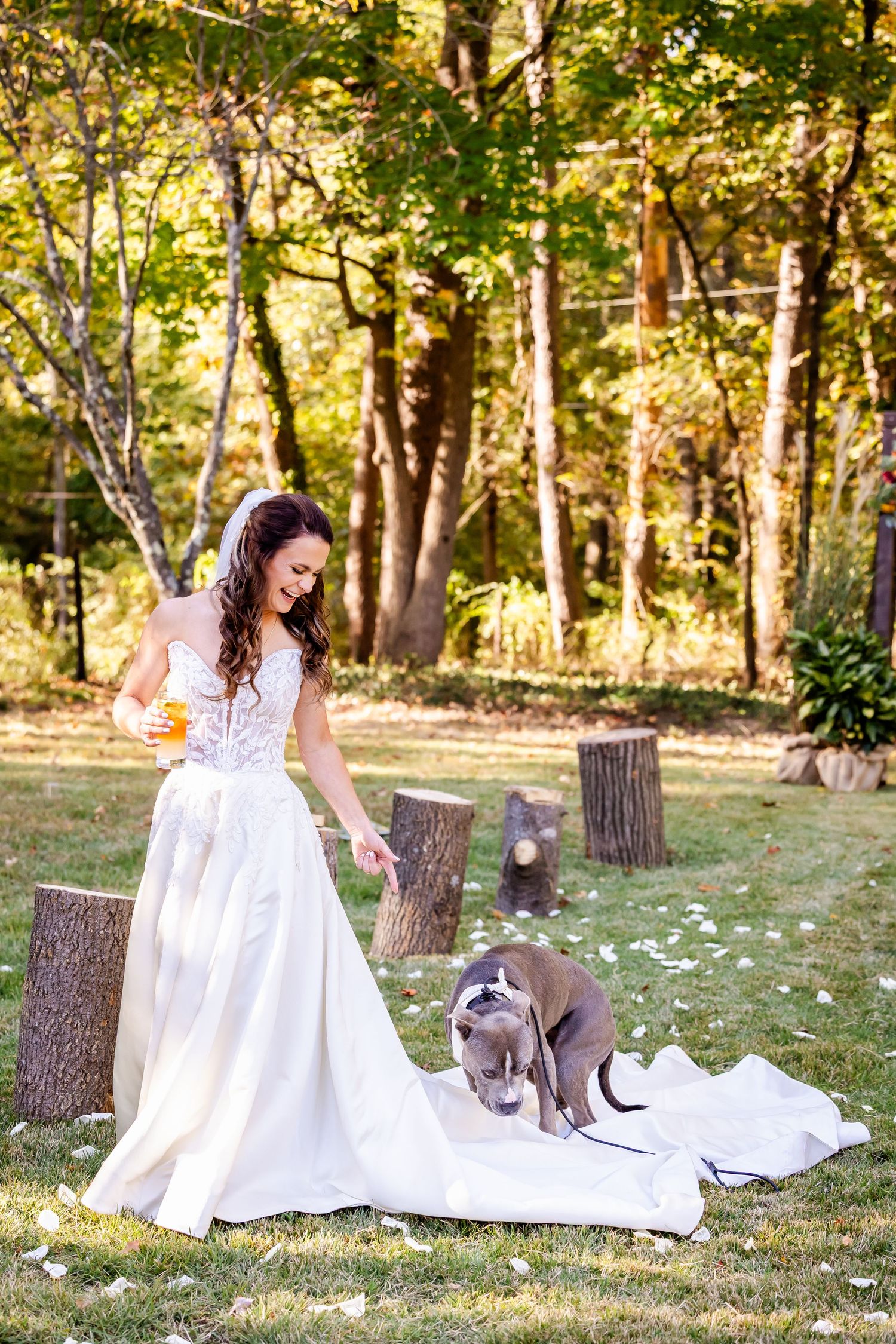 A bride in a white wedding dress interacts with a gray dog on her dress train in a sunlit wooded setting.