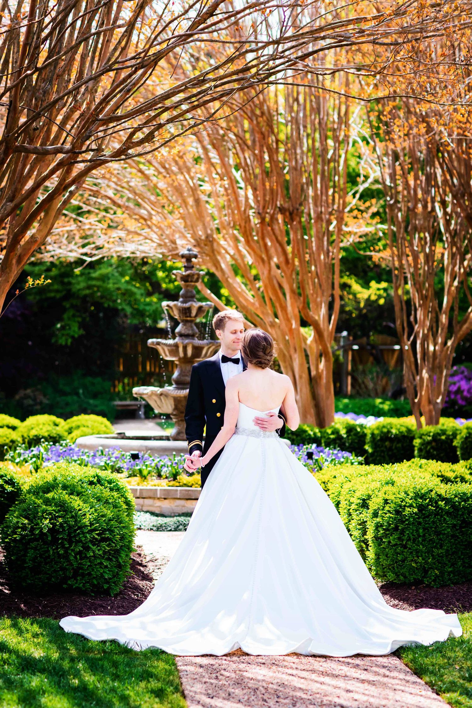 A wedding couple poses in a formal garden setting with crepe myrtle trees and a fountain in the background.