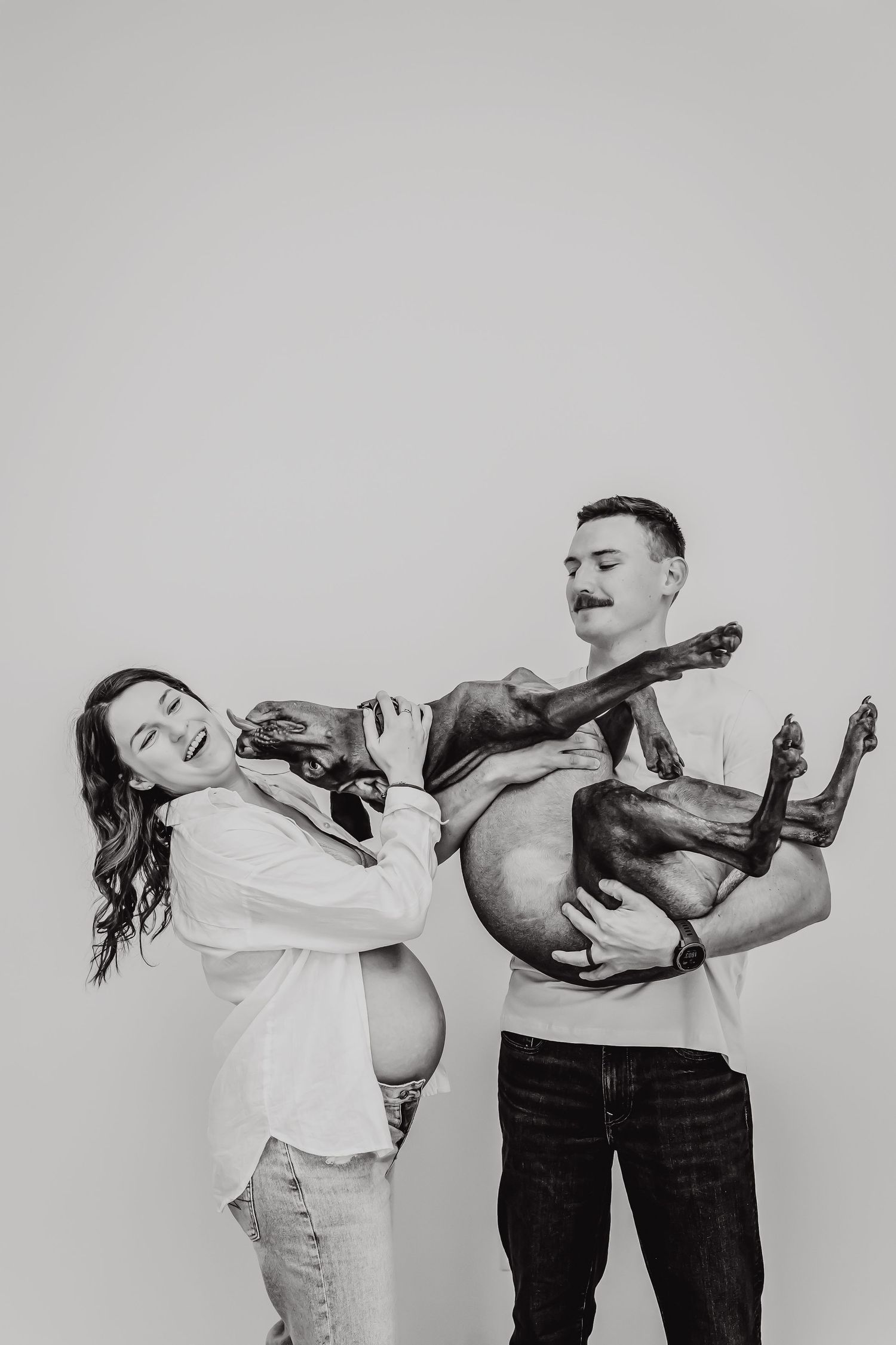 A playful maternity photoshoot with a couple holding their dog in a humorous pose against a gray background.