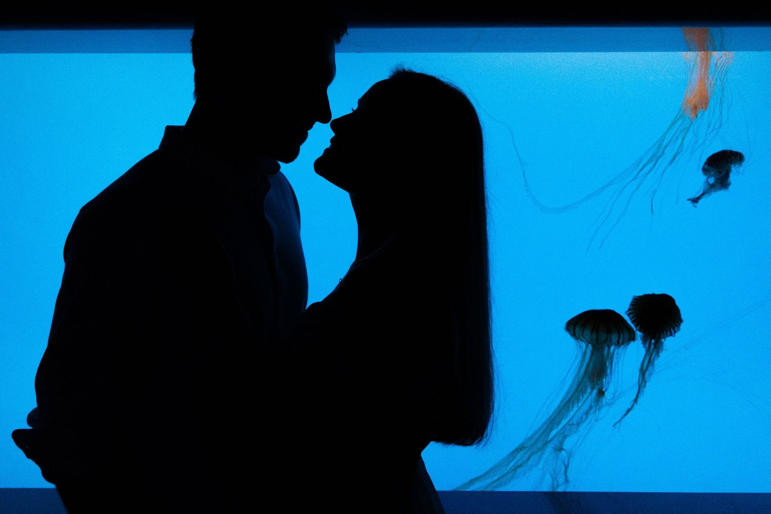 Two figures in silhouette share an intimate moment against a bright blue aquarium backdrop with floating jellyfish.
