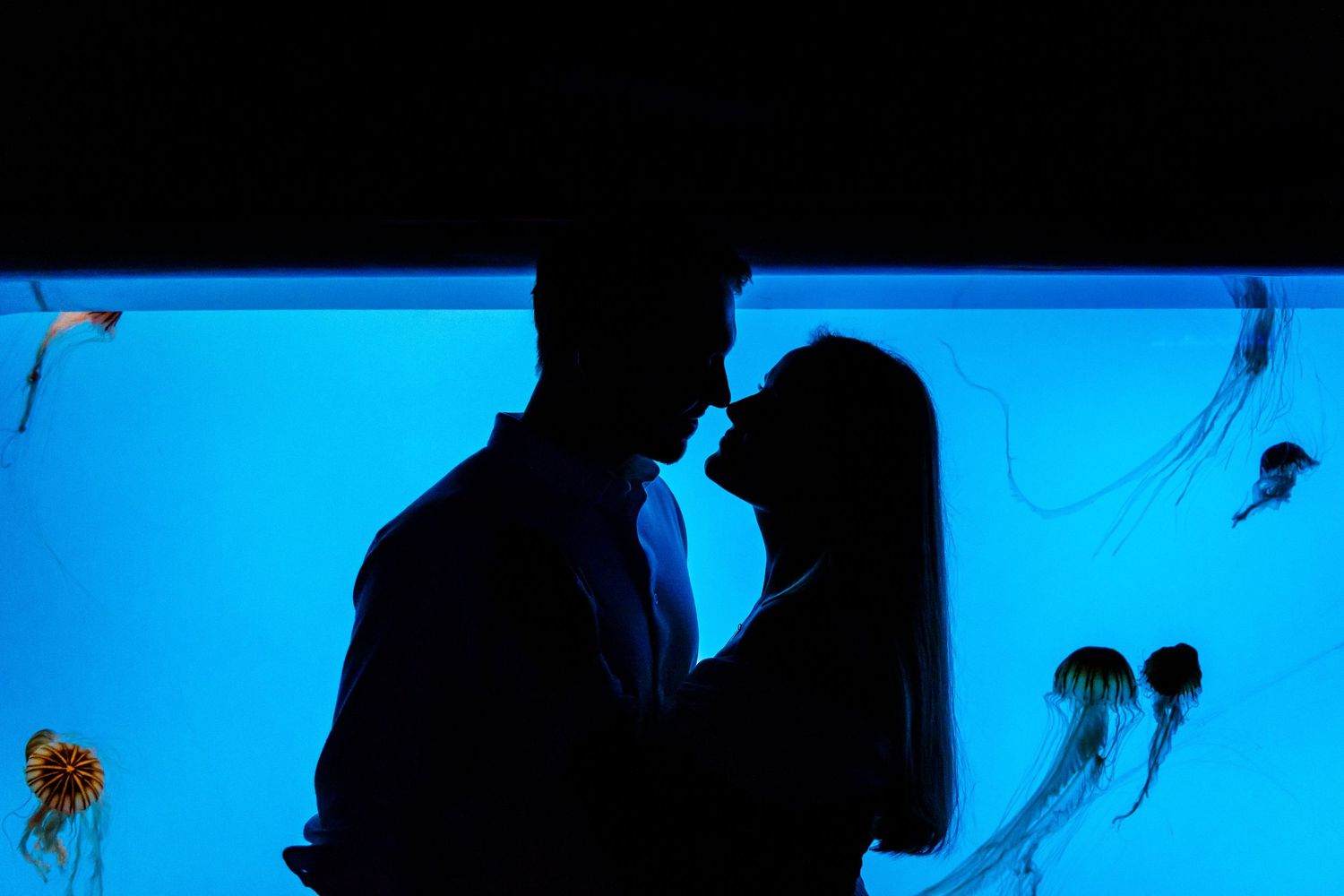 A romantic silhouette of a couple against a blue aquarium backdrop with floating jellyfish.