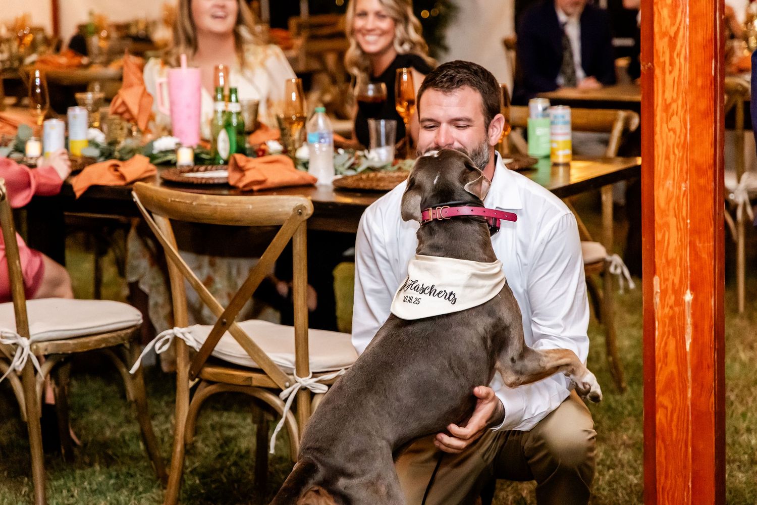A dog and wedding guests interact inside a reception tent with wooden chairs and tables.