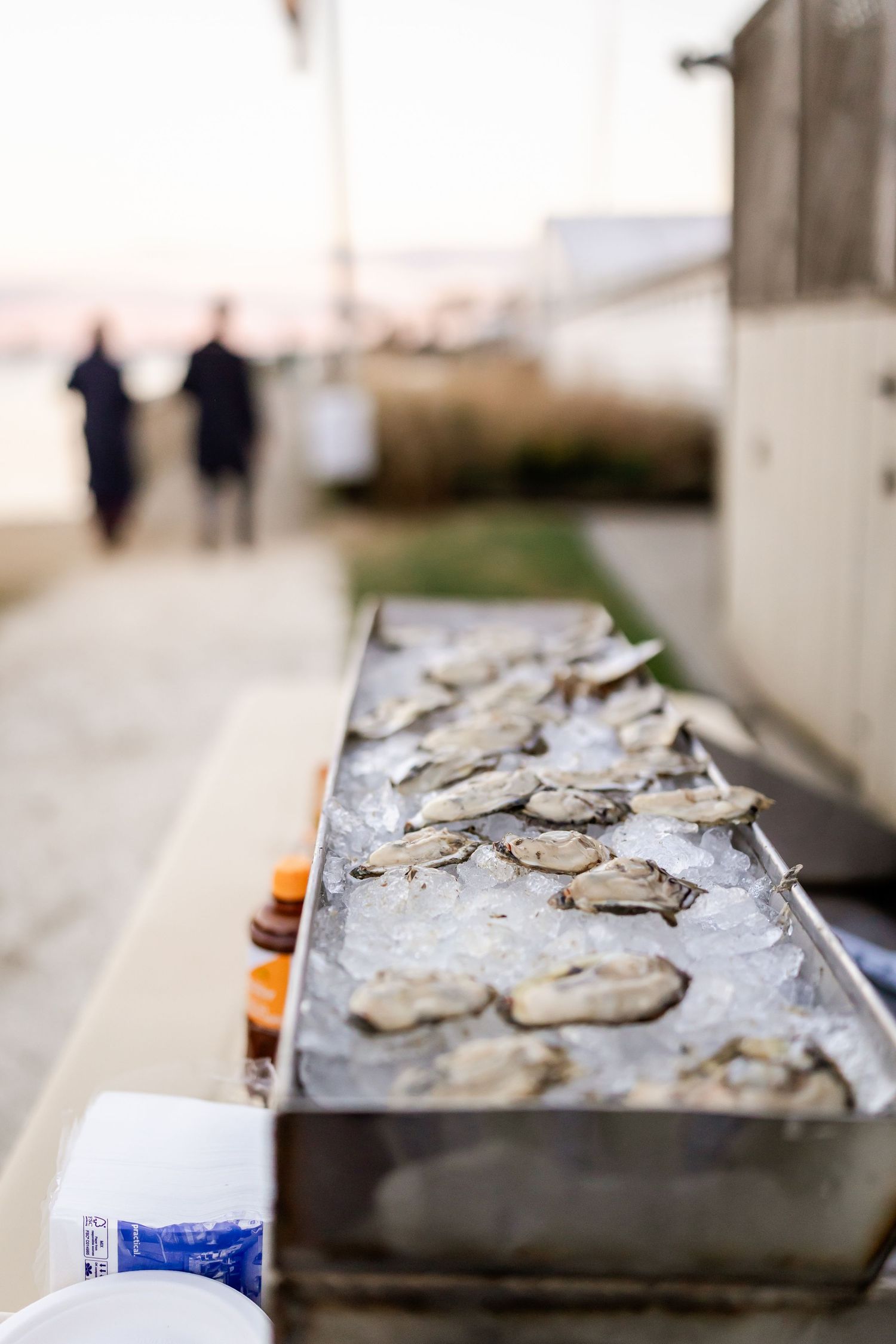 Fresh oysters on ice displayed in a long metal tray at an outdoor seafood bar near the waterfront.
