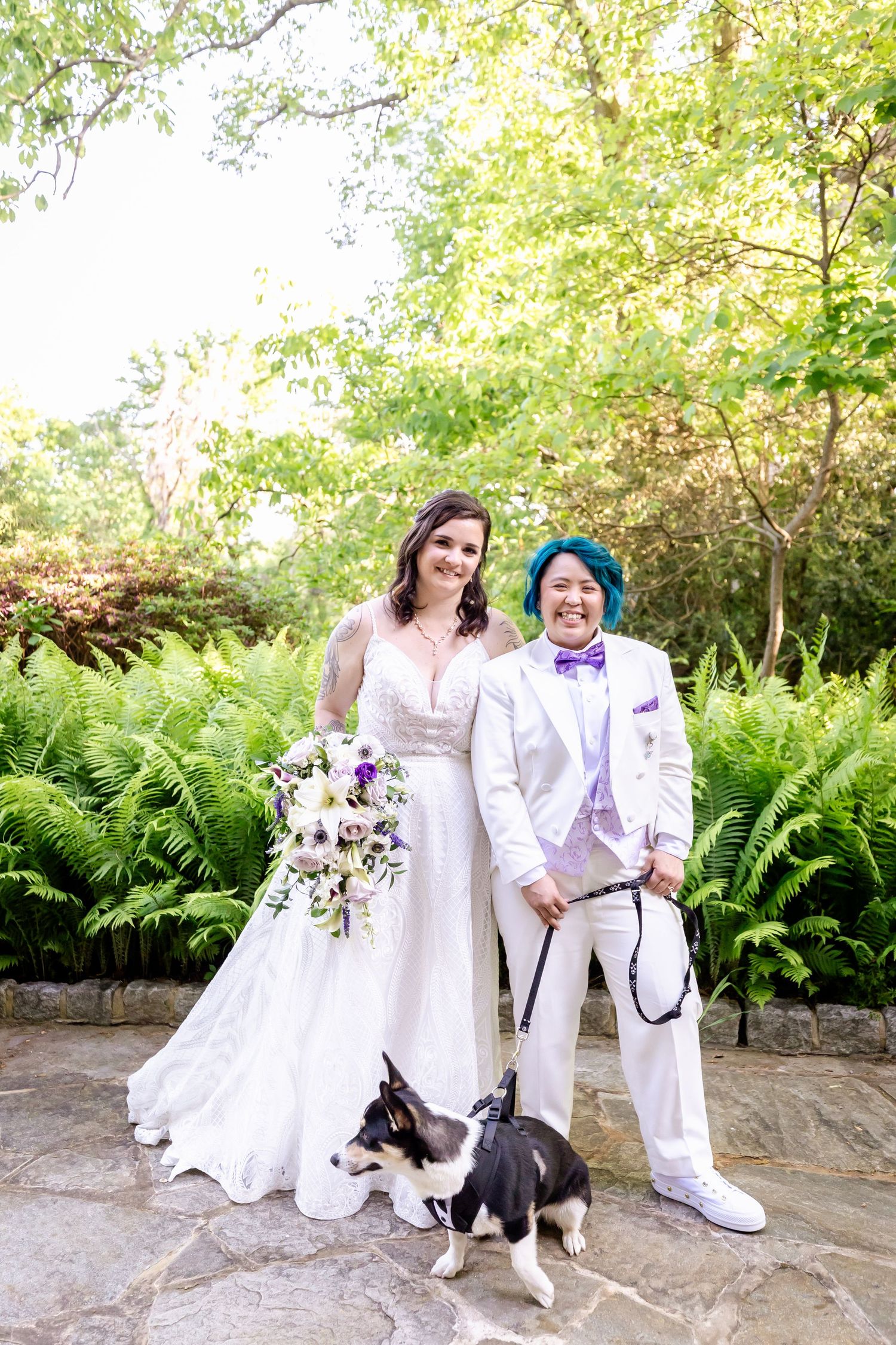 Wedding couple poses outdoors with their black and white dog among lush ferns and greenery.