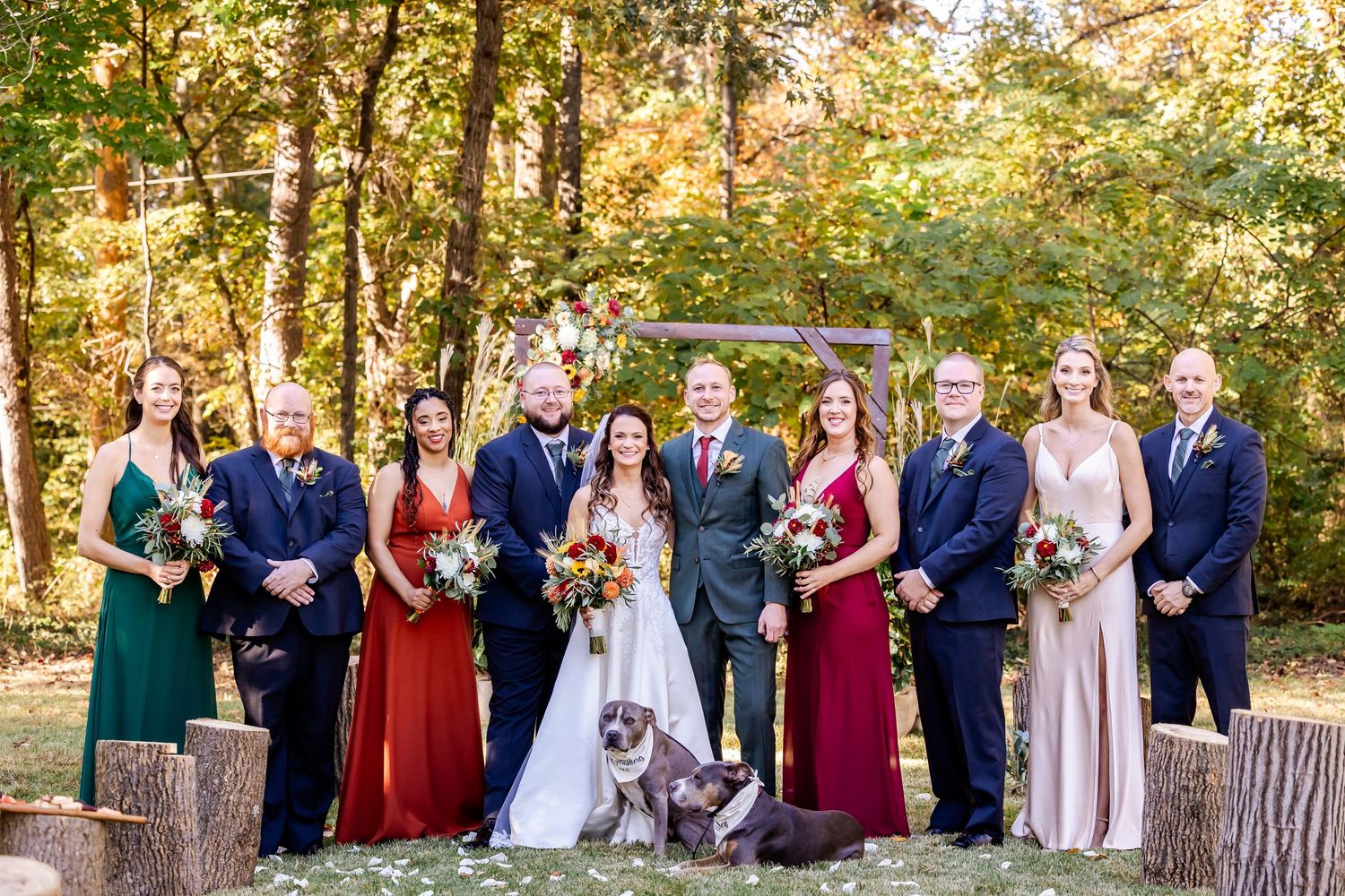 Wedding party in mixed jewel-tone dresses poses with dogs on wooden stumps in a forest setting.