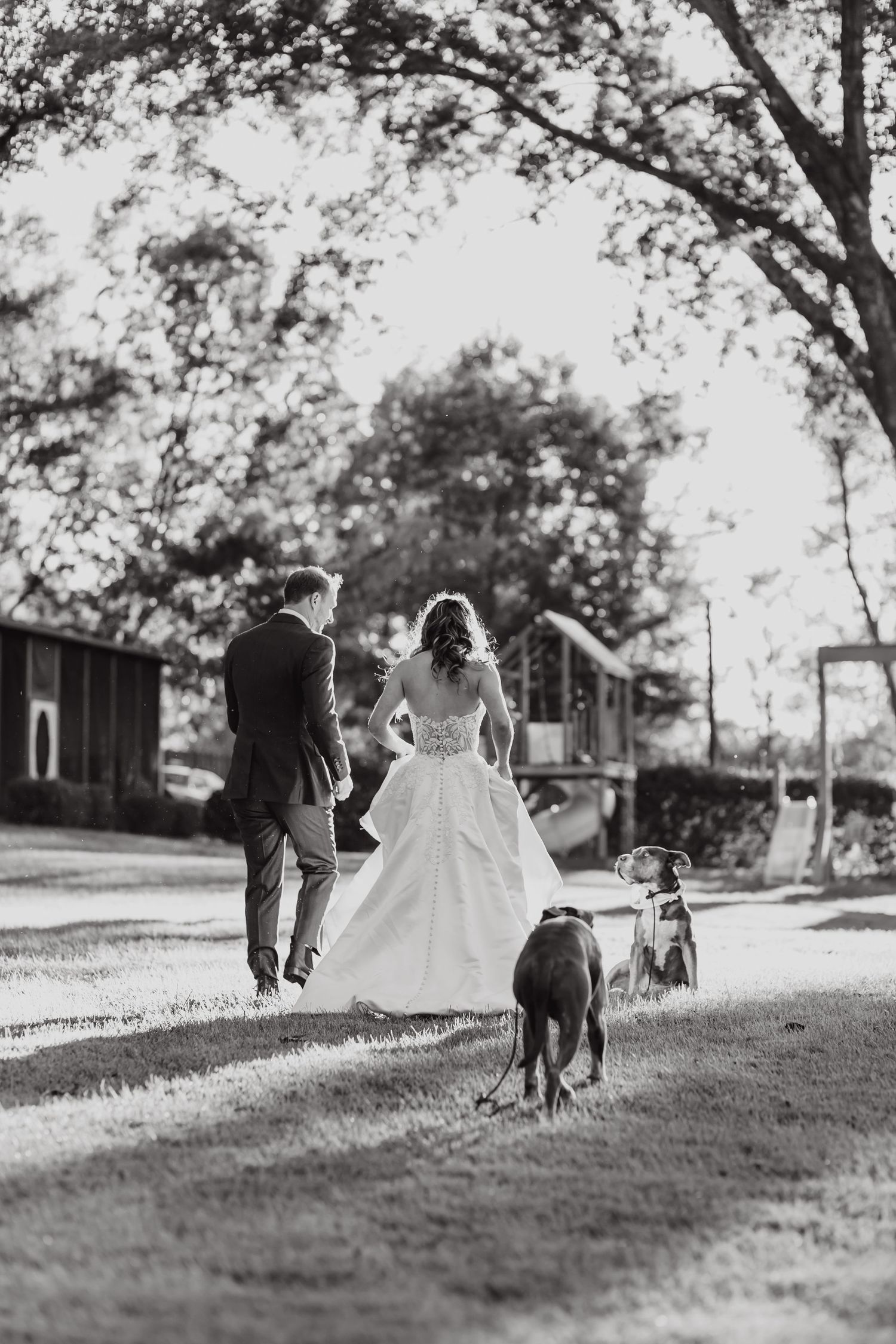 Black and white photo of wedding couple walking with their dogs along a tree-lined path.