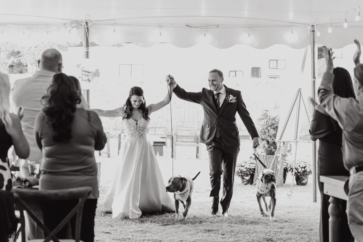 Wedding couple makes grand entrance with their dog at outdoor tented reception.