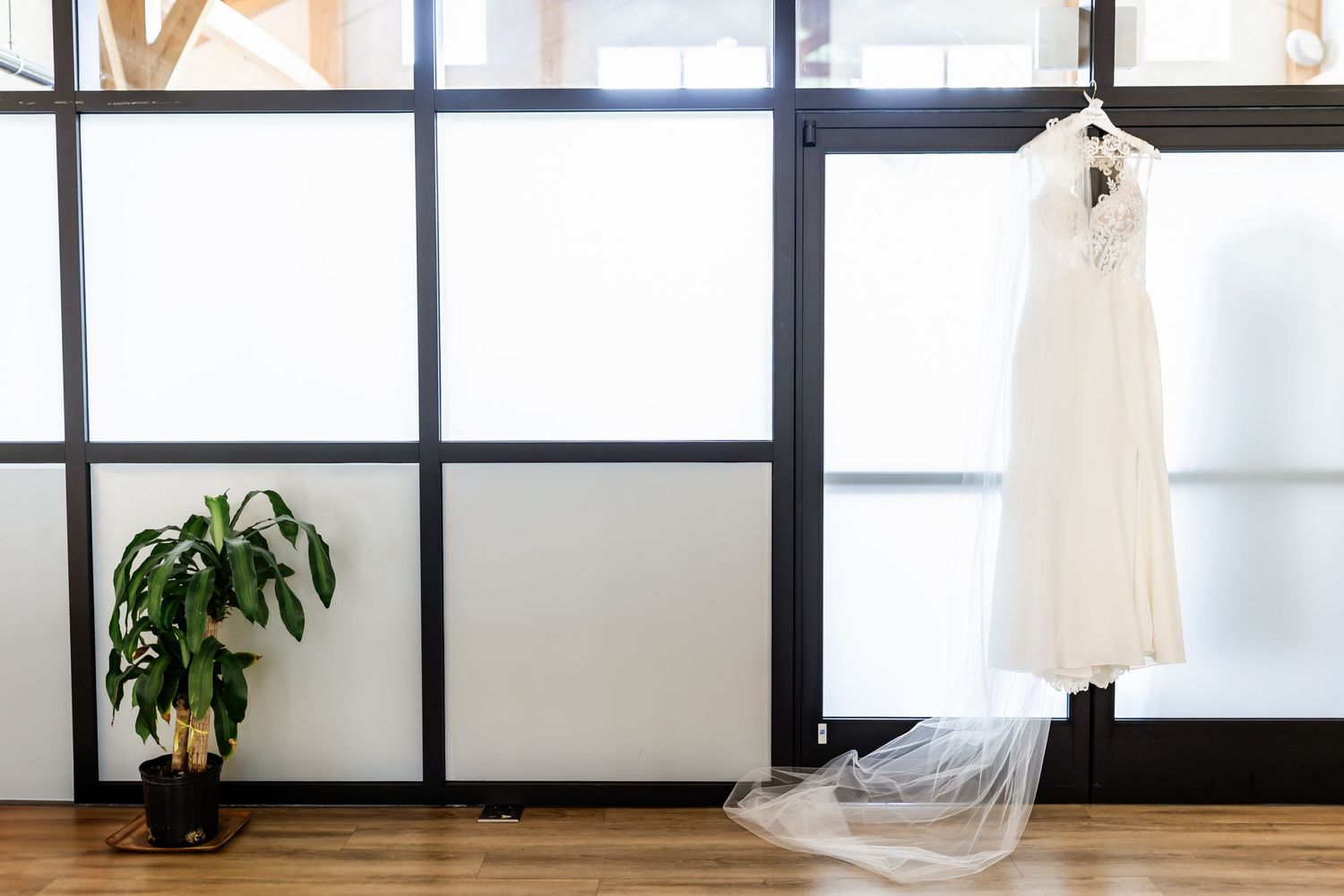 White wedding dress hanging by window with veil and green plant against modern paneled wall.