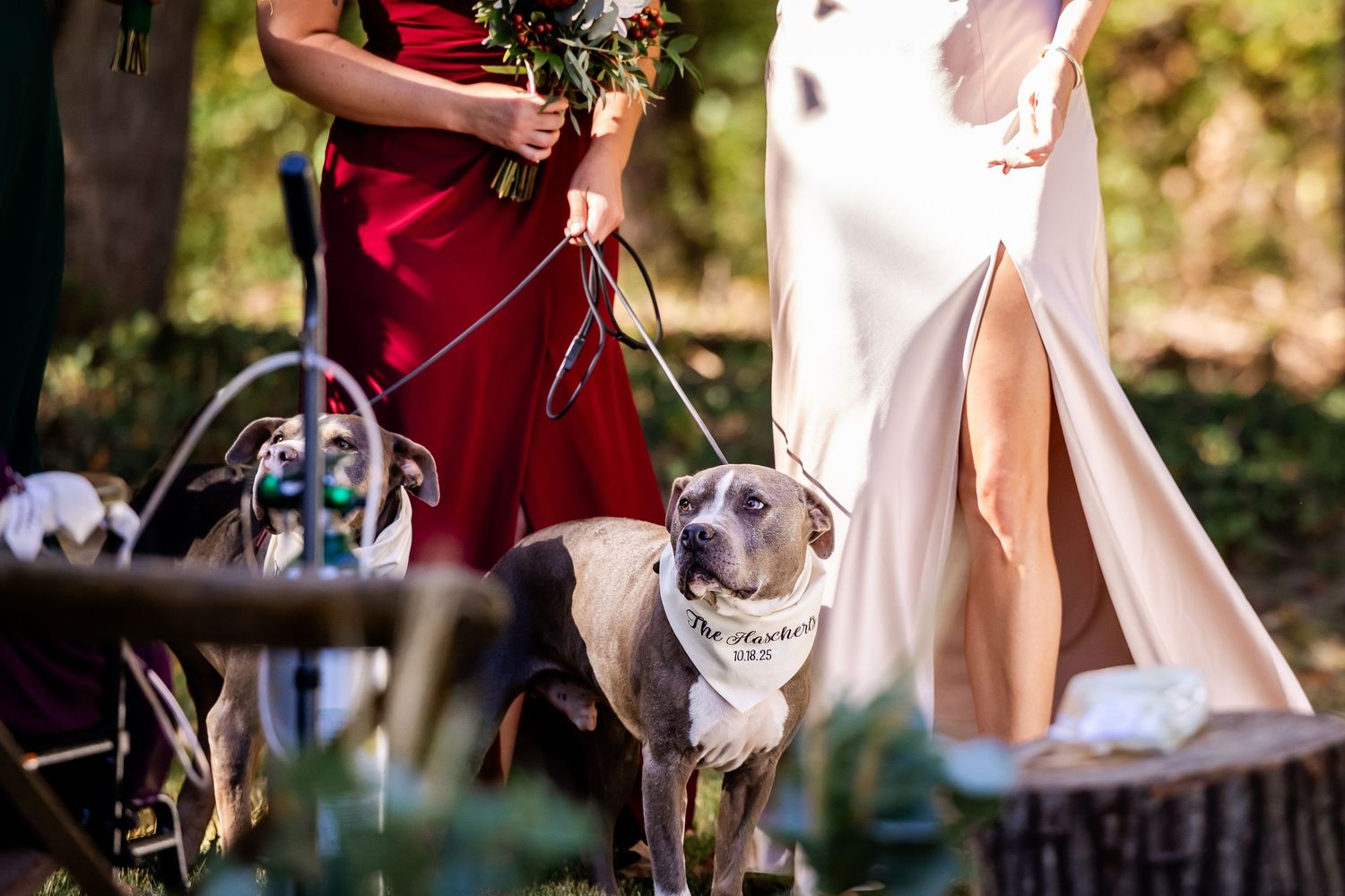 A couple in red and white wedding attire poses together in a sunlit outdoor garden setting.